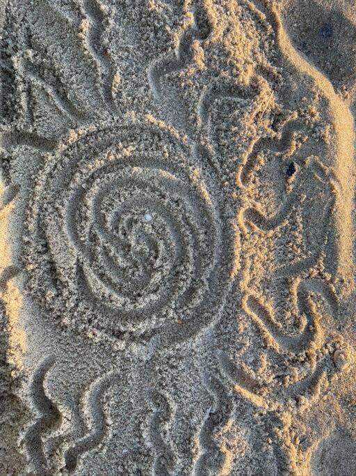 Tybee Sunshine ~ 50 Steps 'Till Toes In The Sand Tybee Island Exterior foto
